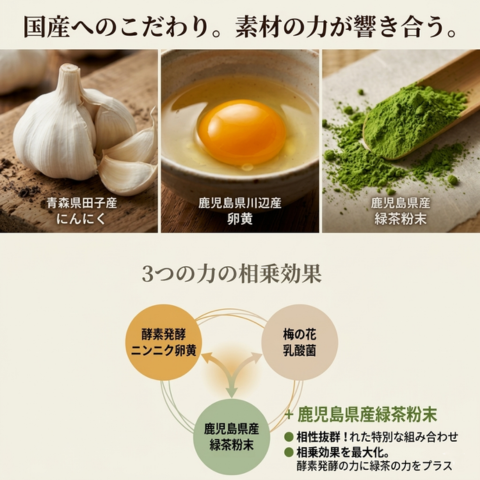 青森県田子産にんにく、鹿児島県川辺産卵黄、鹿児島県産緑茶粉末の相乗効果。梅の花乳酸菌を配合し、国産素材のちからが響き合うリチェストのこだわり。