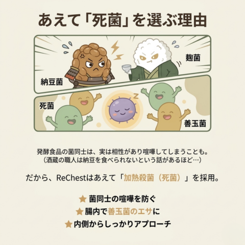 腸内環境を整える善玉菌のエサとなり、菌同士の相性(喧嘩)を防ぐ『加熱殺菌菌(死菌)』のメリットを解説。生きた菌よりも効率的に内側からアプローチする、サプリメント リチェストのこだわりを紹介